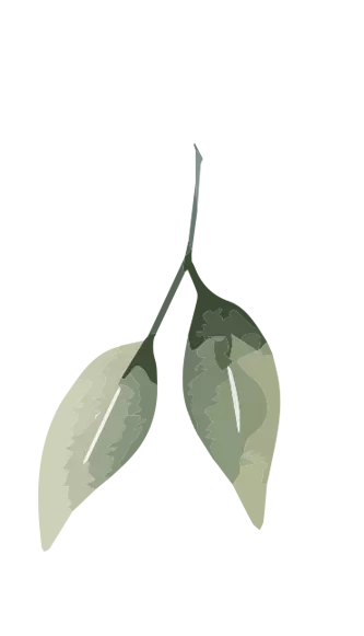 leaf