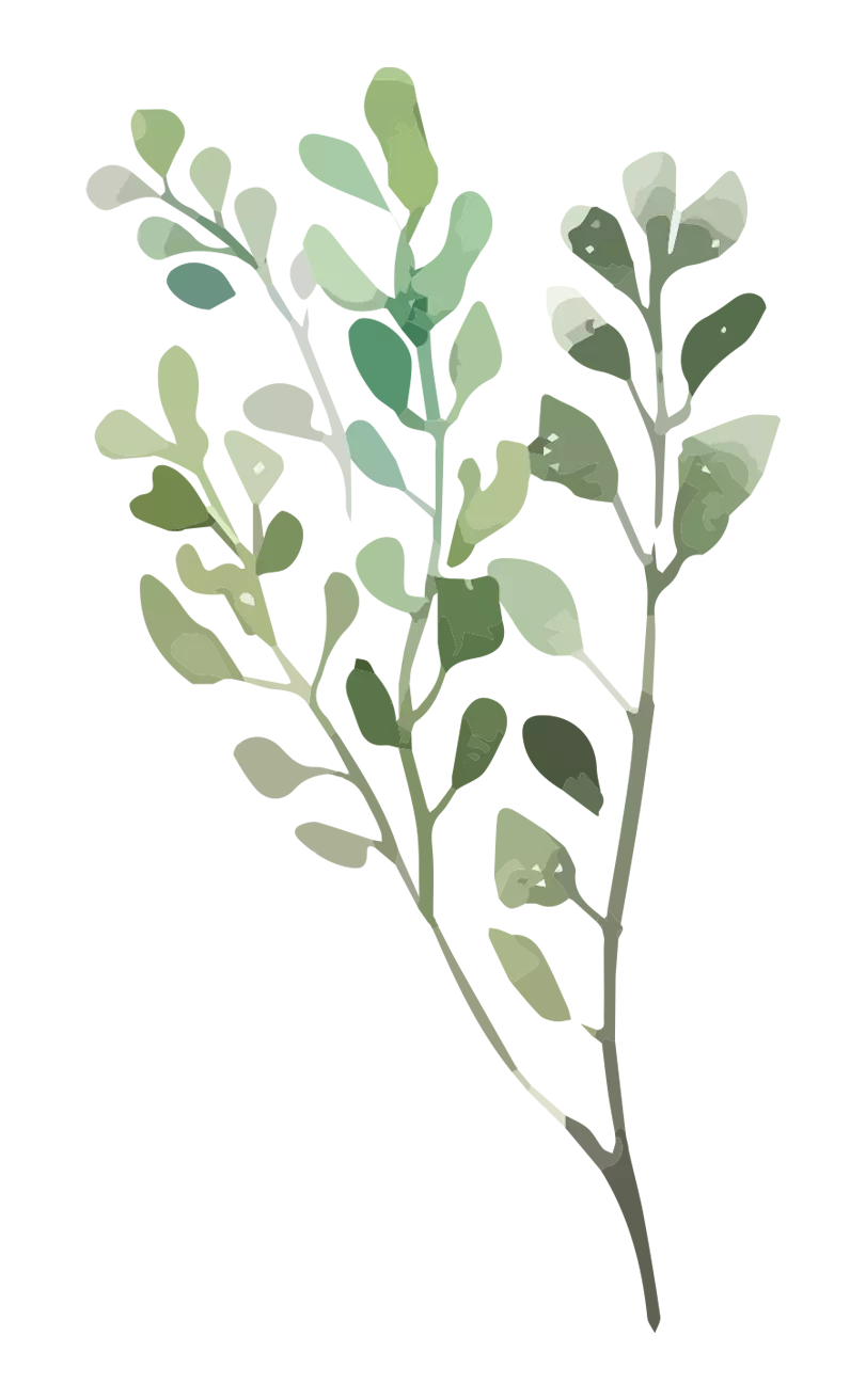 green leaf