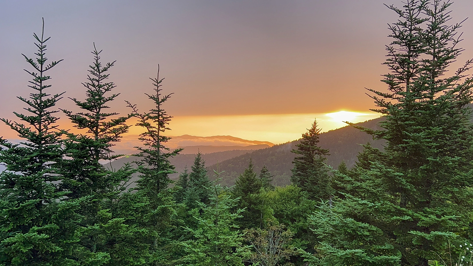 smoky mountains