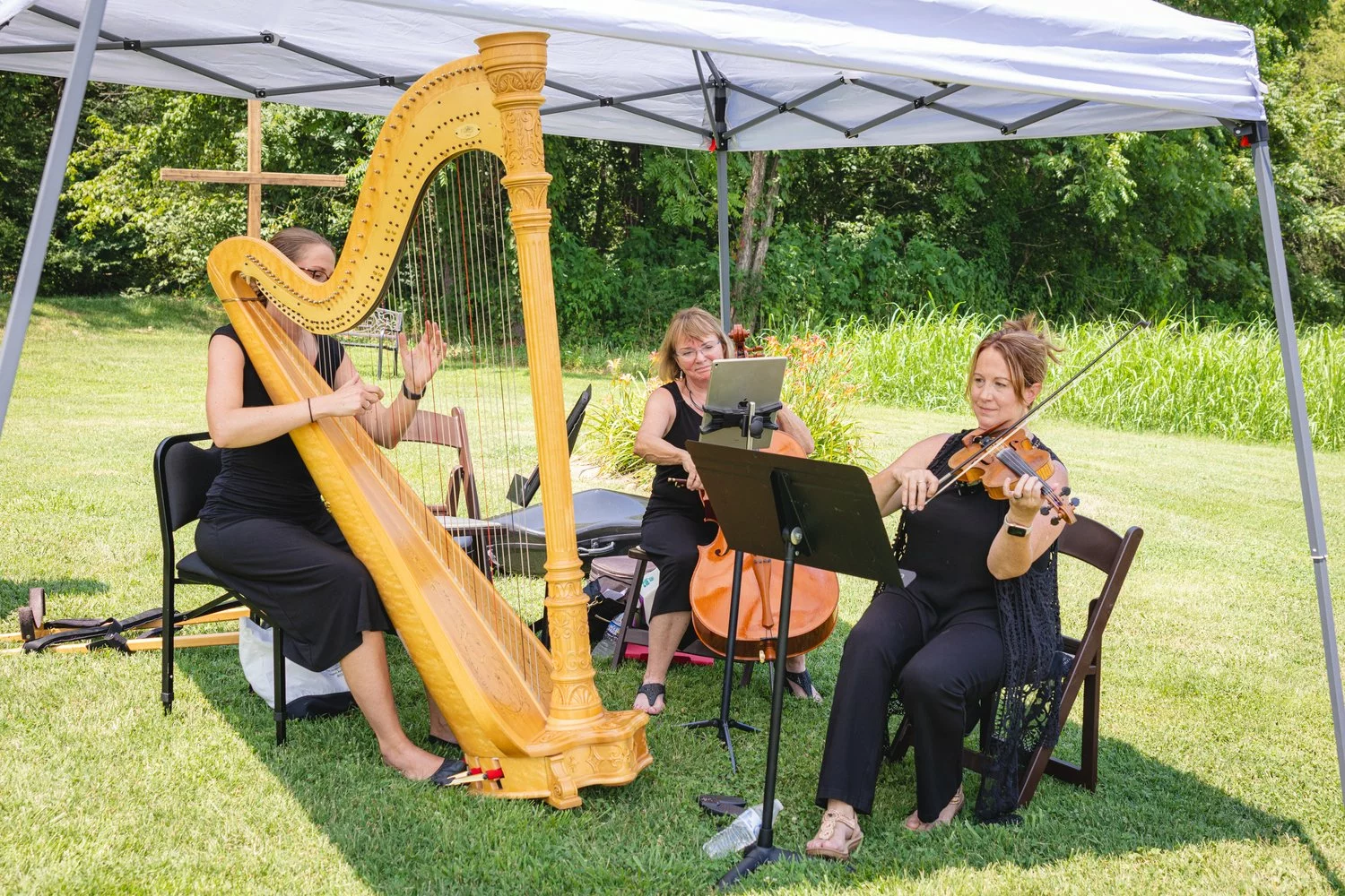 live music at wedding