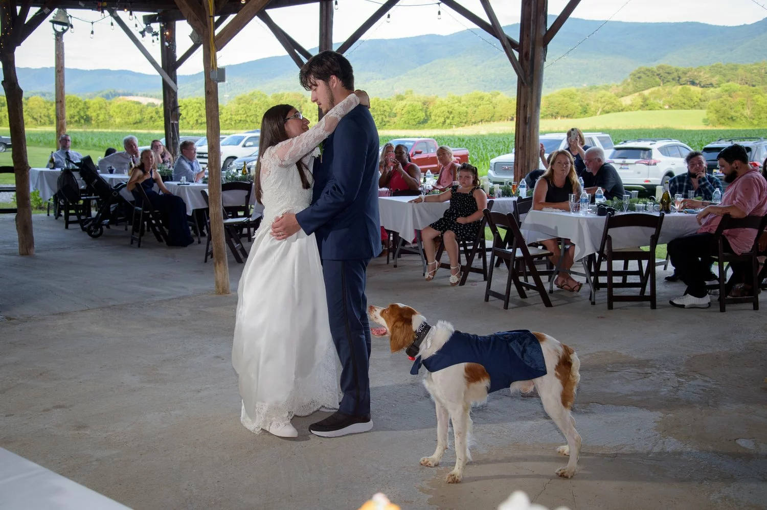 bride and groom with dog