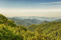 discover some of the best things to do after your Smoky Mountain wedding