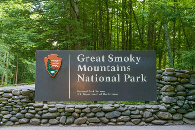 the national park is a great place to visit after your smoky mountain wedding